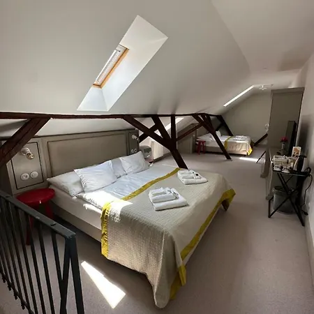 Hotel Kocour 4*
