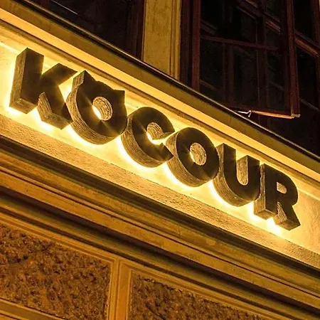 Kocour