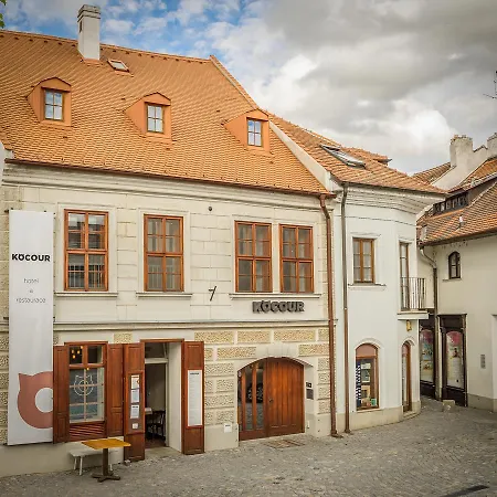 Kocour
